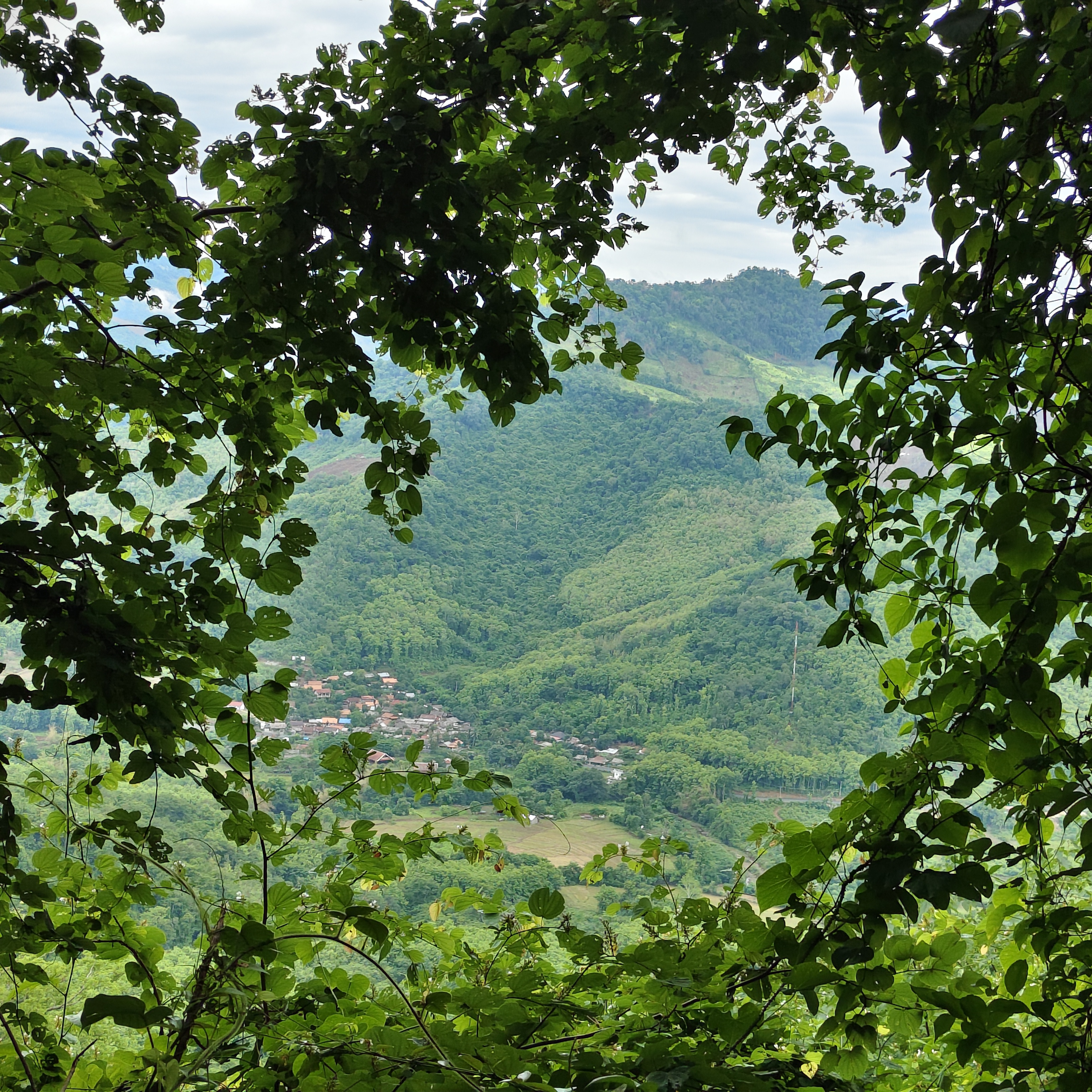 Phupadang hiking — photo 3
