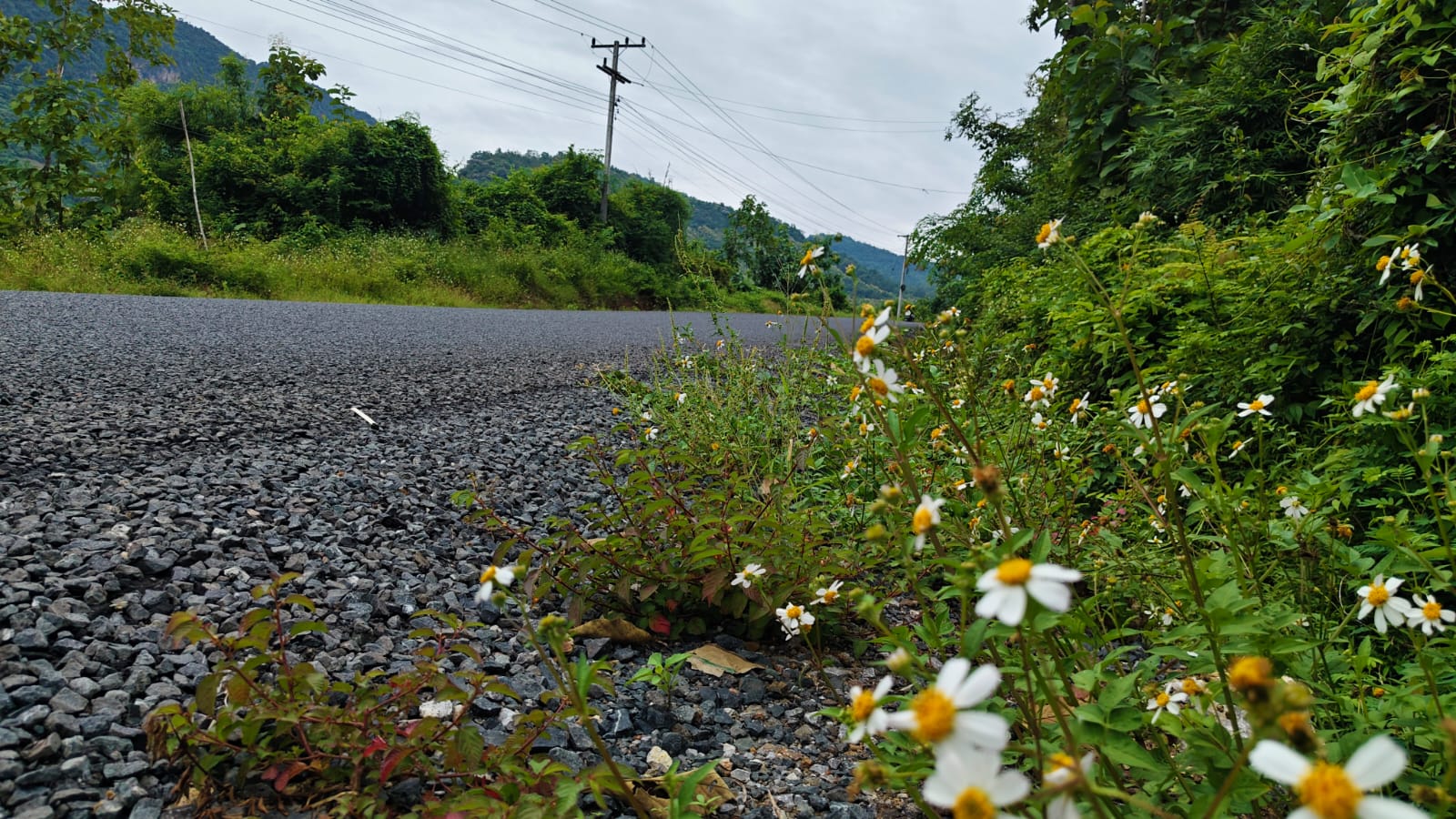 Hiking — photo 1