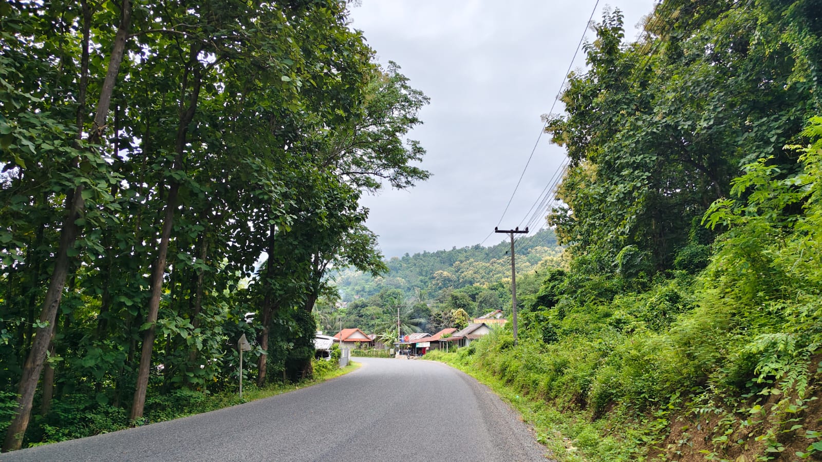 Hiking — photo 4